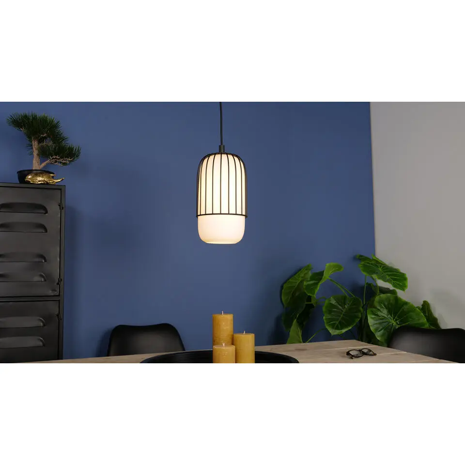 EGLO Muleges Hanglamp - E27 - 16 cm - Zwart