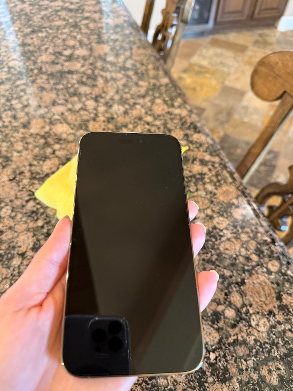 iphone14 pro max phone unlocked 256gb