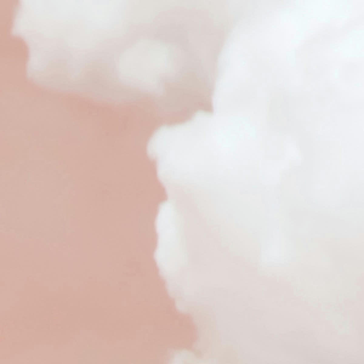 SONGEEN ROSE - Papier peint panoramique motif imprimé Rose 432x280cm