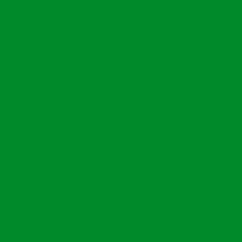 Peinture multisupports Déco vert pur satin 0,4 L INVENTIV