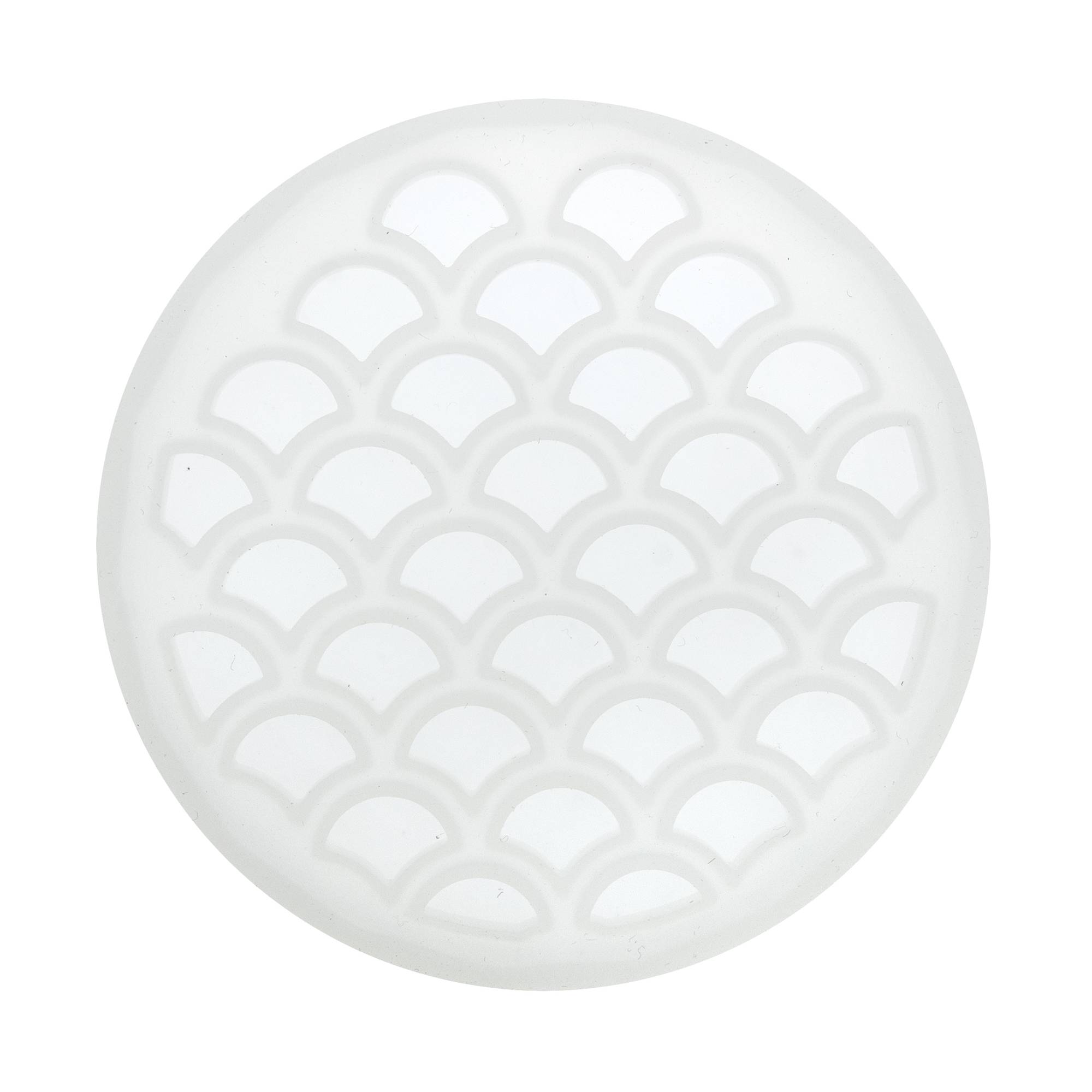 Scale Coaster Resin Mould