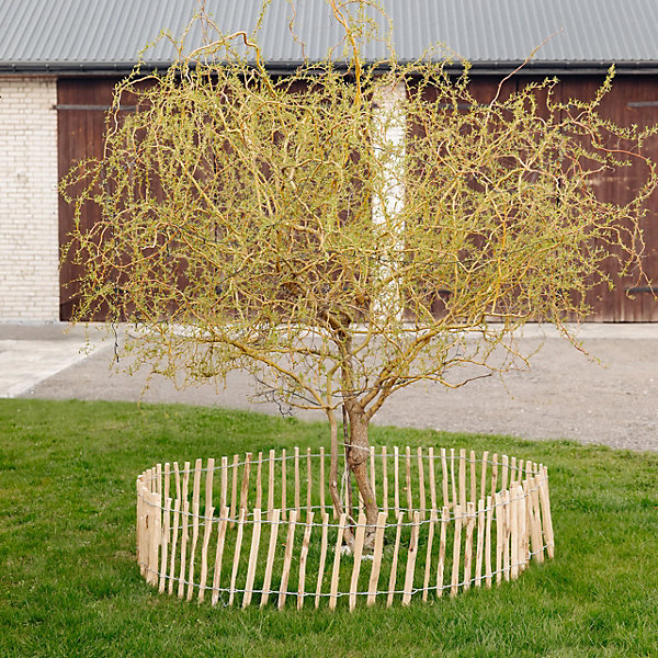Creative Home Clôture en Bois de Noisetier - 35 cm x 5 m - Clôture en Rouleau avec Espacement de 3-5 cm - Bordure de Jardin
