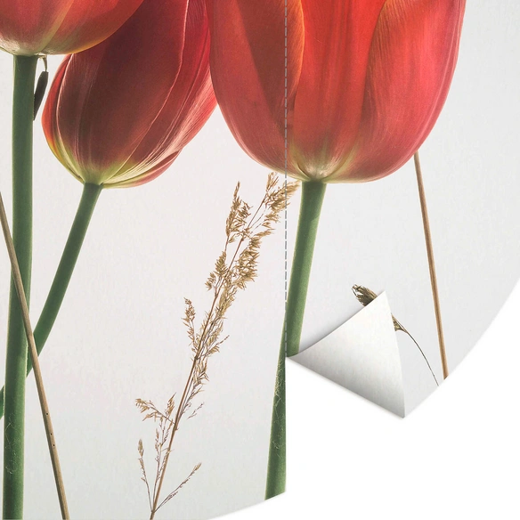 Vliestapete »Runde Vliestapete«, Kadam Rote Tulpene, mehrfarbig, matt