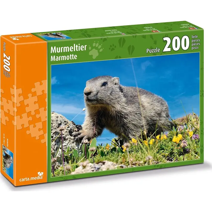 Puzzle 200-teilig Carta.media