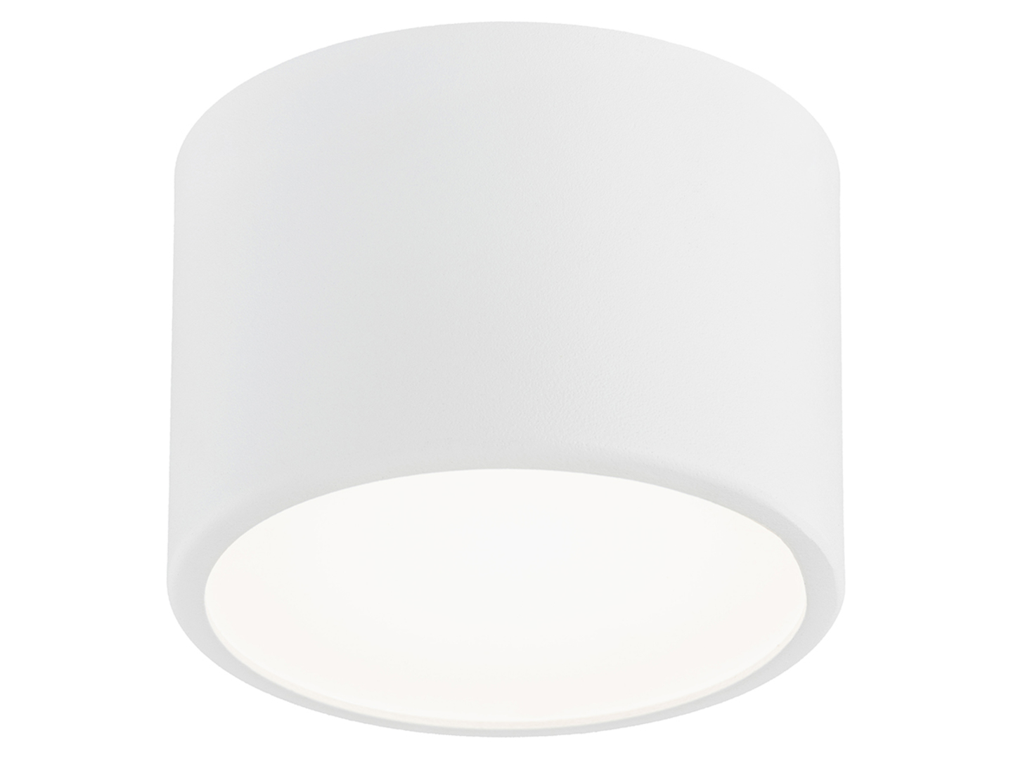 Plafon Alaska LED stalowy biały