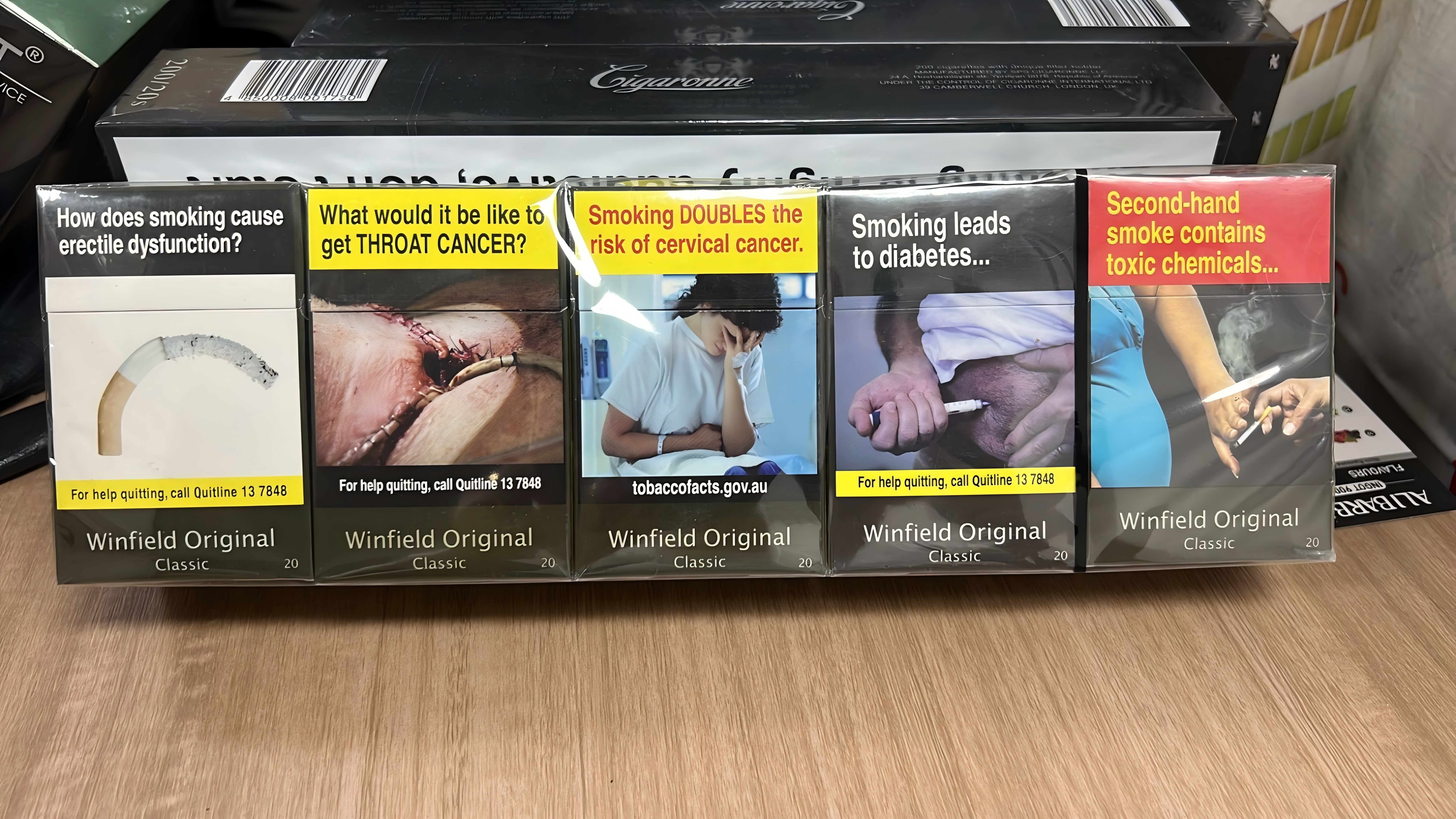 【New Arrival】Winfield Original Classic 10mg Carton