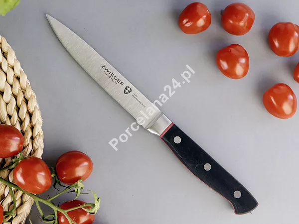 Komplet noży (5 el.) w bloku ZWIEGER - Klassiker