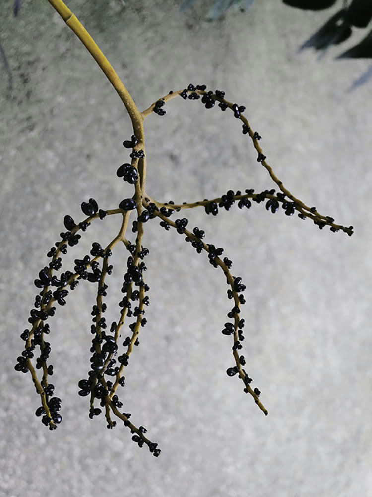 ETRANGETÉ - Photographie d'art de Zoé Pignolet 45x60 cm sur plexi