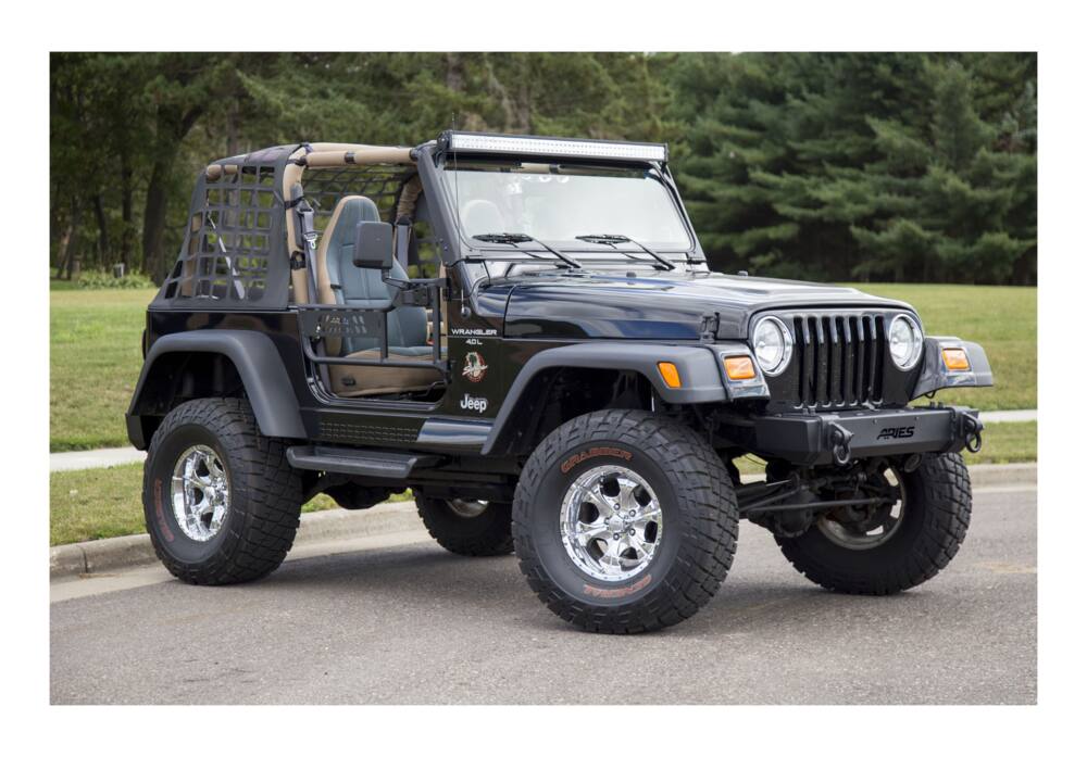 Aries 1500100 Jeep Wrangler TJ Tube Doors