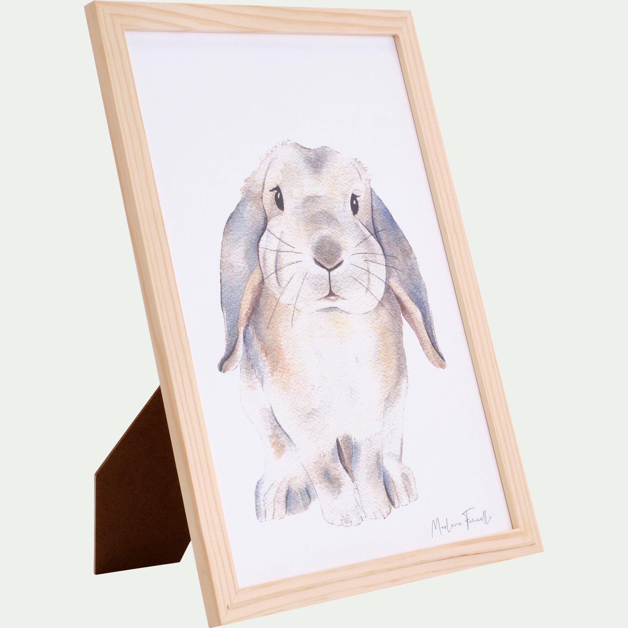 LAPIN BELIER - Image aquarelle encadrée Lapin bélier - A4