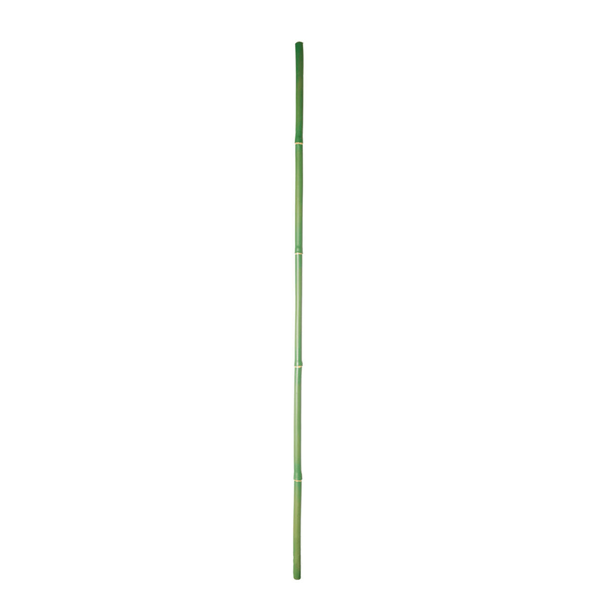 - Tige de bambou en fer verte H101