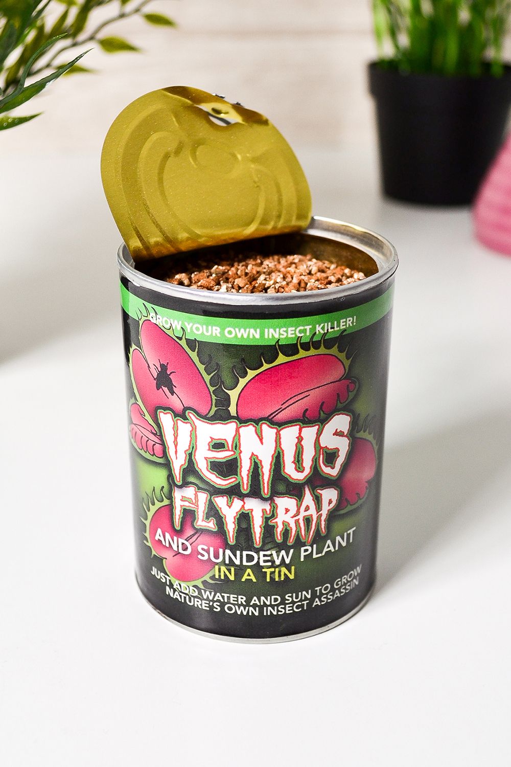 Funtime Gifts Venus Fly Trap in a Tin