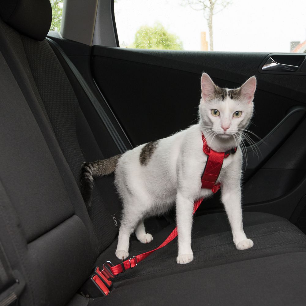 Trixie Cat Car Harness