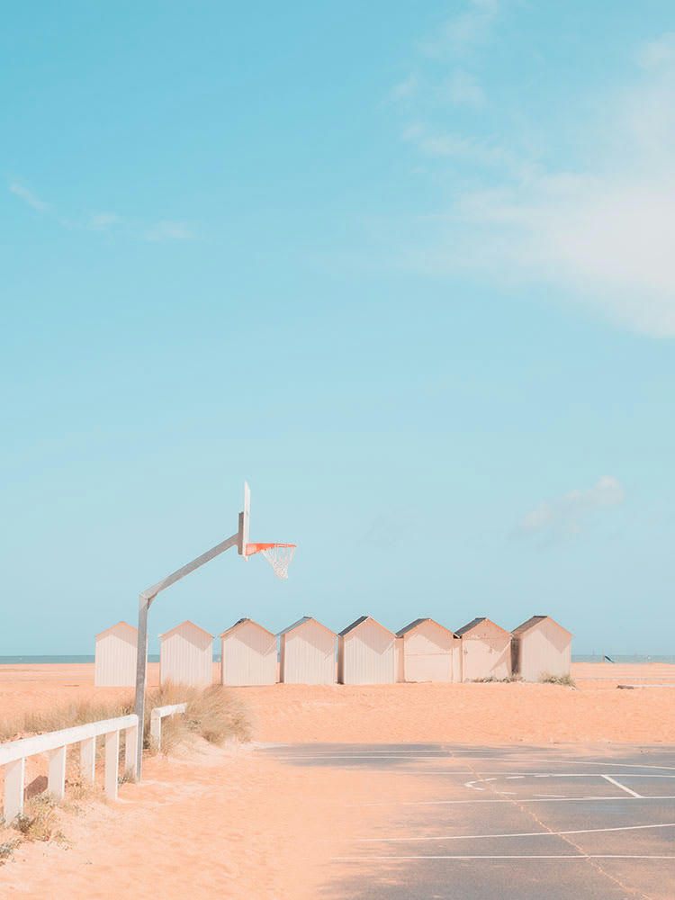 MIMÉTISME - Photographie d'art de Nicolas Rottiers 45x60 cm sur alu