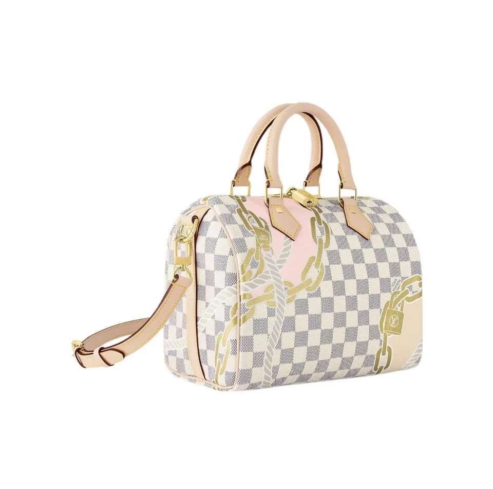 Louis Vuitton LV Speedy 25