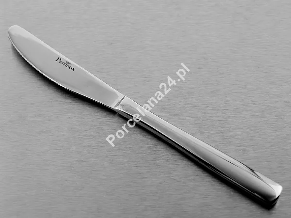Komplet sztućców 24 cz. na 6 sób Pintinox 1929 - Gamma (2.5 mm) ECObox 23.GAM.K24
