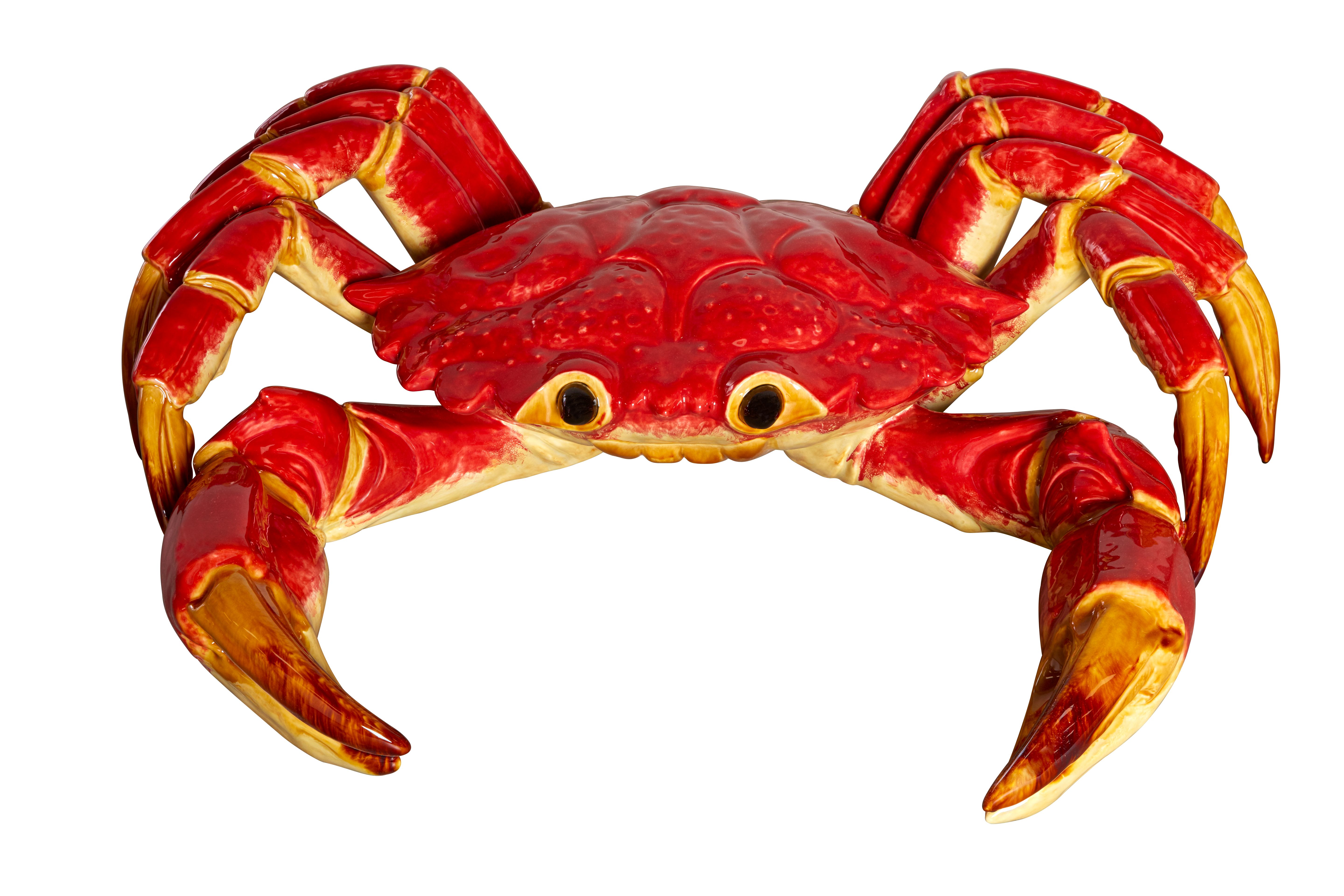 Caranguejo Gigante