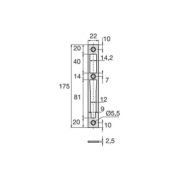 Gâche plate inox largeur 22x175mm - STREMLER - 2835.00.0