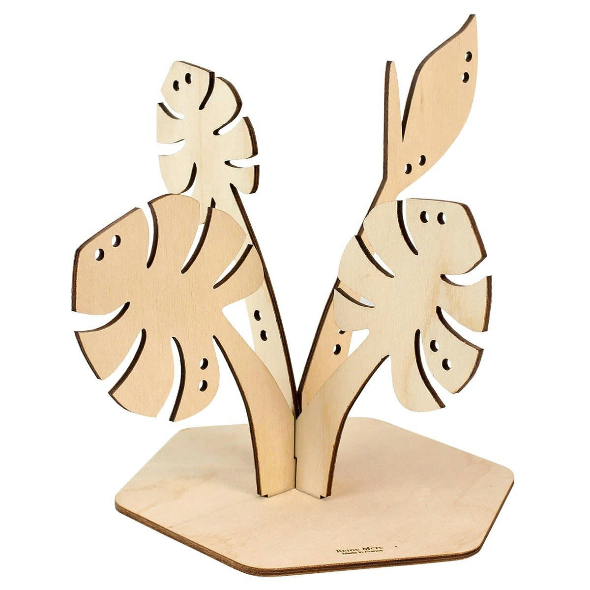 - Porte-bijoux tropique Deliciosa