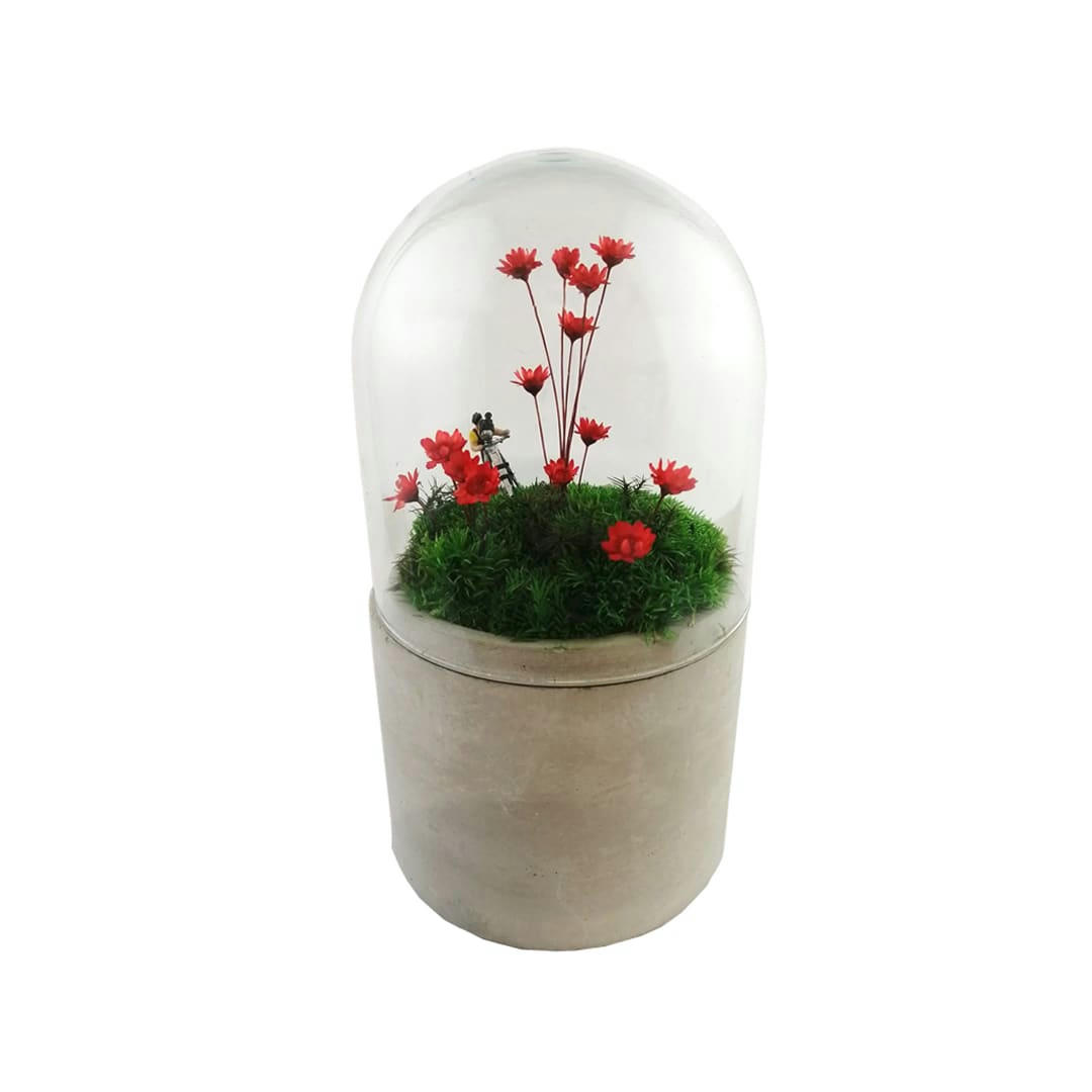 - Mini jardin sous cloche en verre fleurs rouges H.16cm