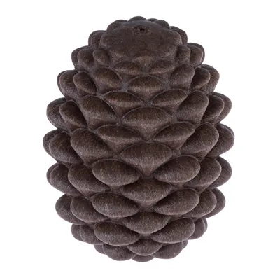 TIAKI Pine Cone Puzzle Toy