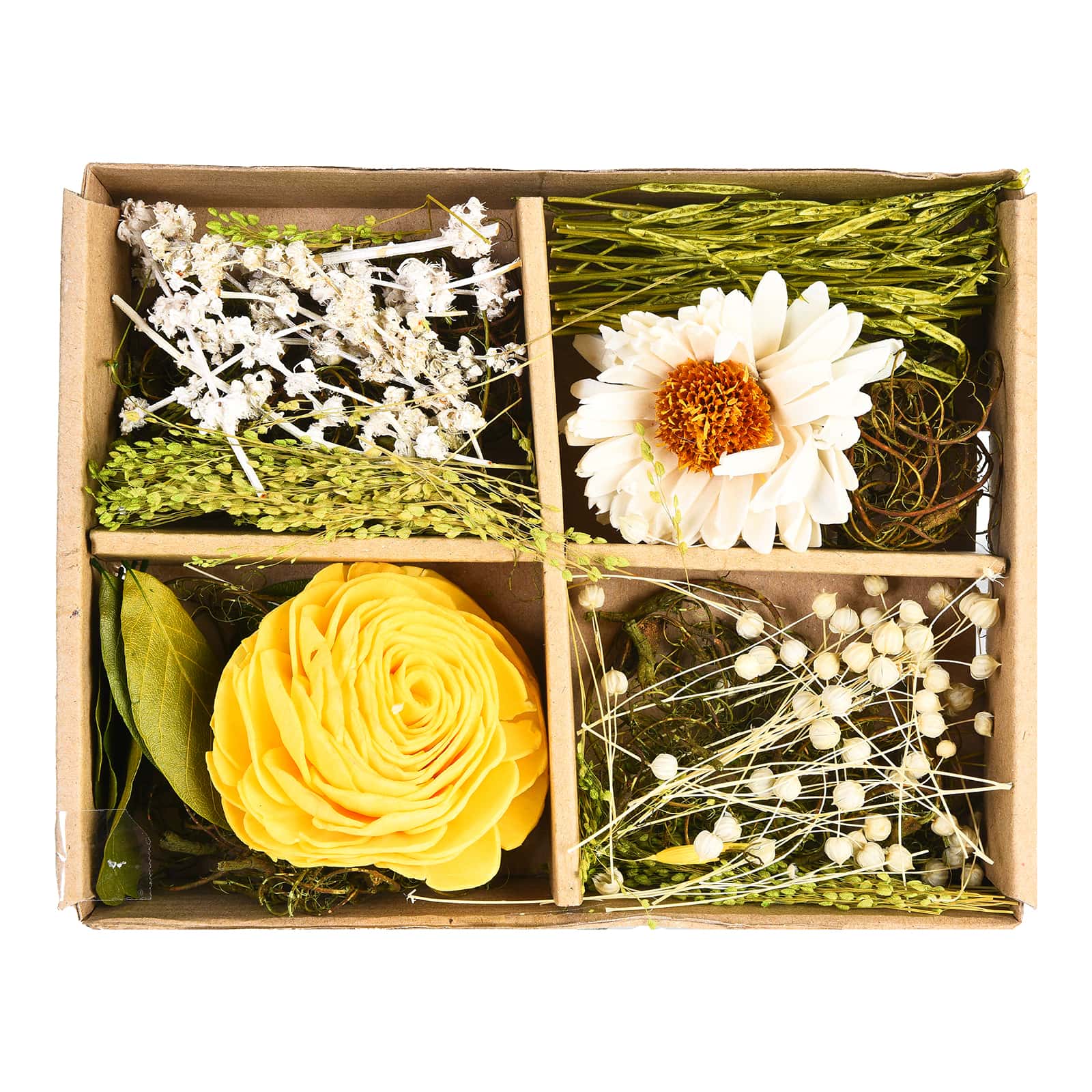 Potpourri Gänseblümchen Weiß,L 200 x B 150 x H 40 mm