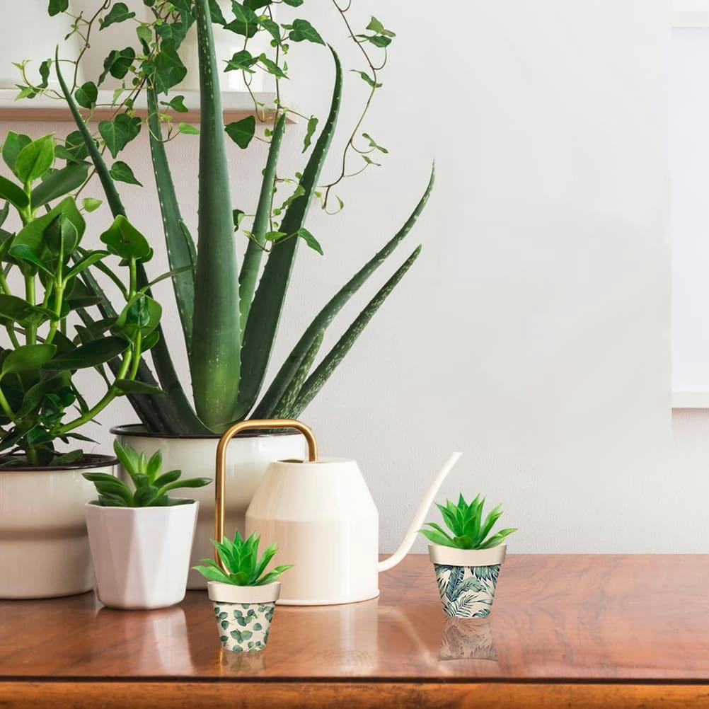 EUCALYPTUS - Cache pot en bambou modèle eucalyptus D7,2cm