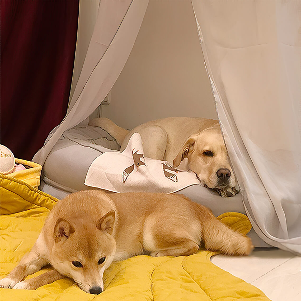 Leaf Shape Dog Blanket With Donut Dog Bed