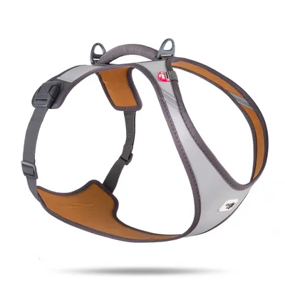 Curli Glow Belka Harness - Grey