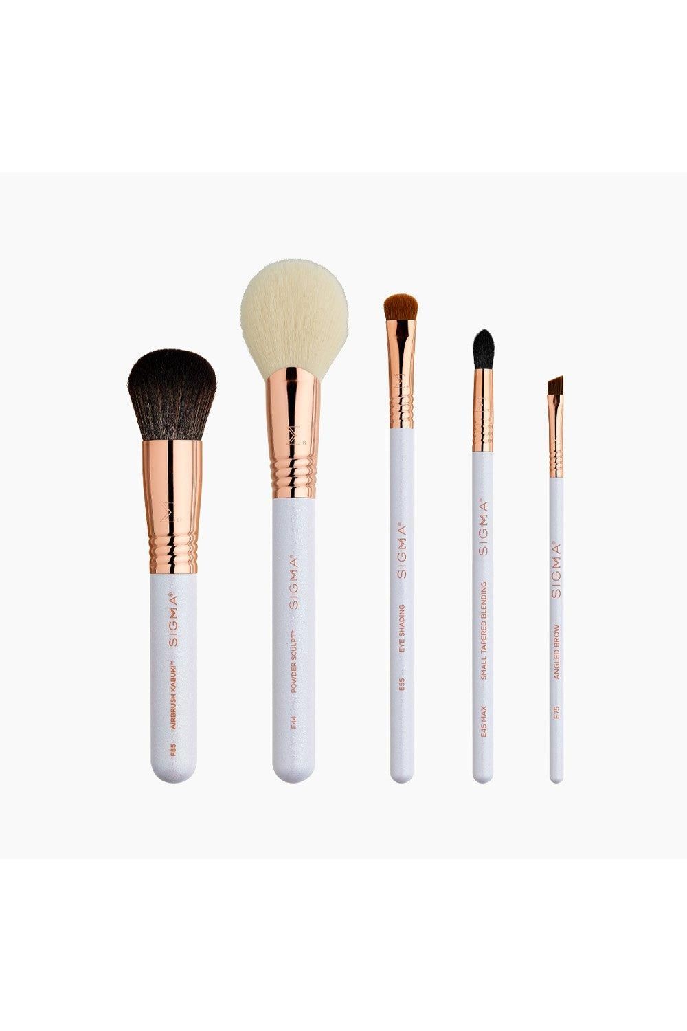 Sigma Holiday Glam Brush Set