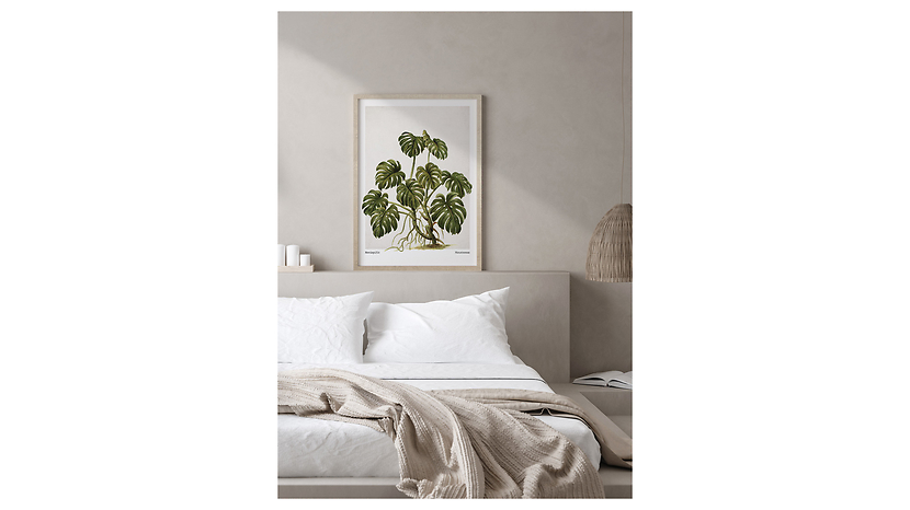 Obraz w ramie Monstera Leaves 53x73 cm