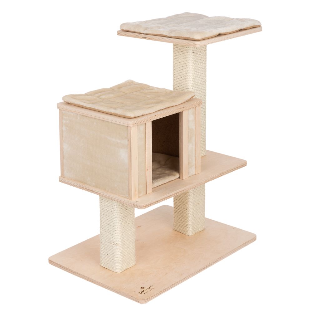 Natural Paradise Cat Tree Orchid Vanda S