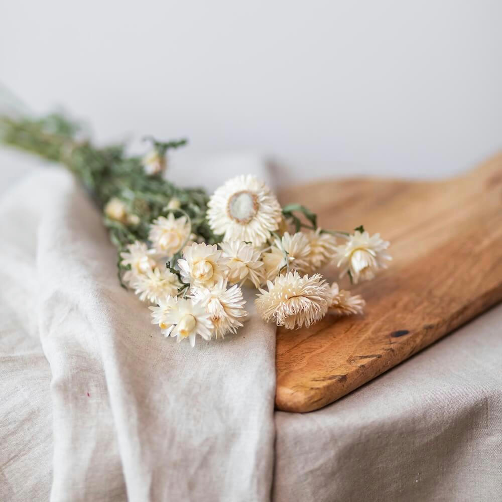 - Botte Hélichryse blanche