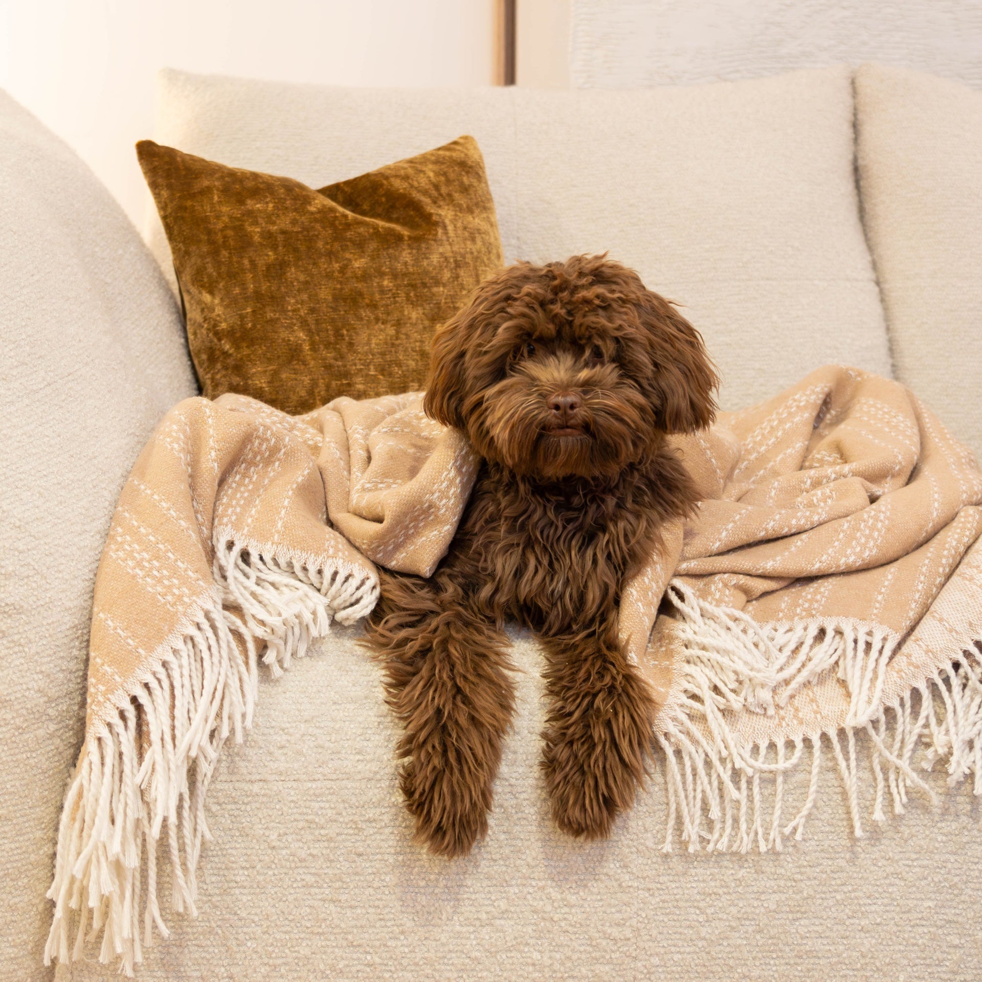 Atmooz Plaid Ember – 150x200cm – Light Brown – Katoenmix – Met Franjes