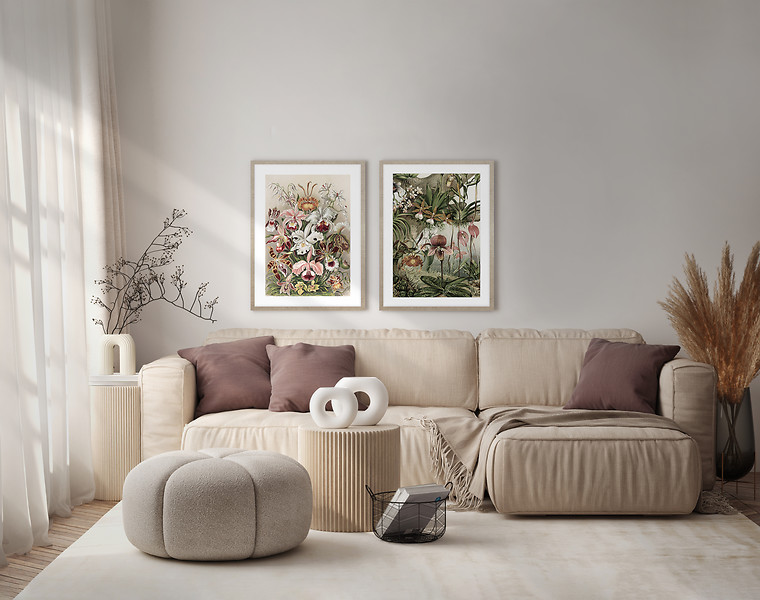 Obraz Orchidea I 50x70 cm
