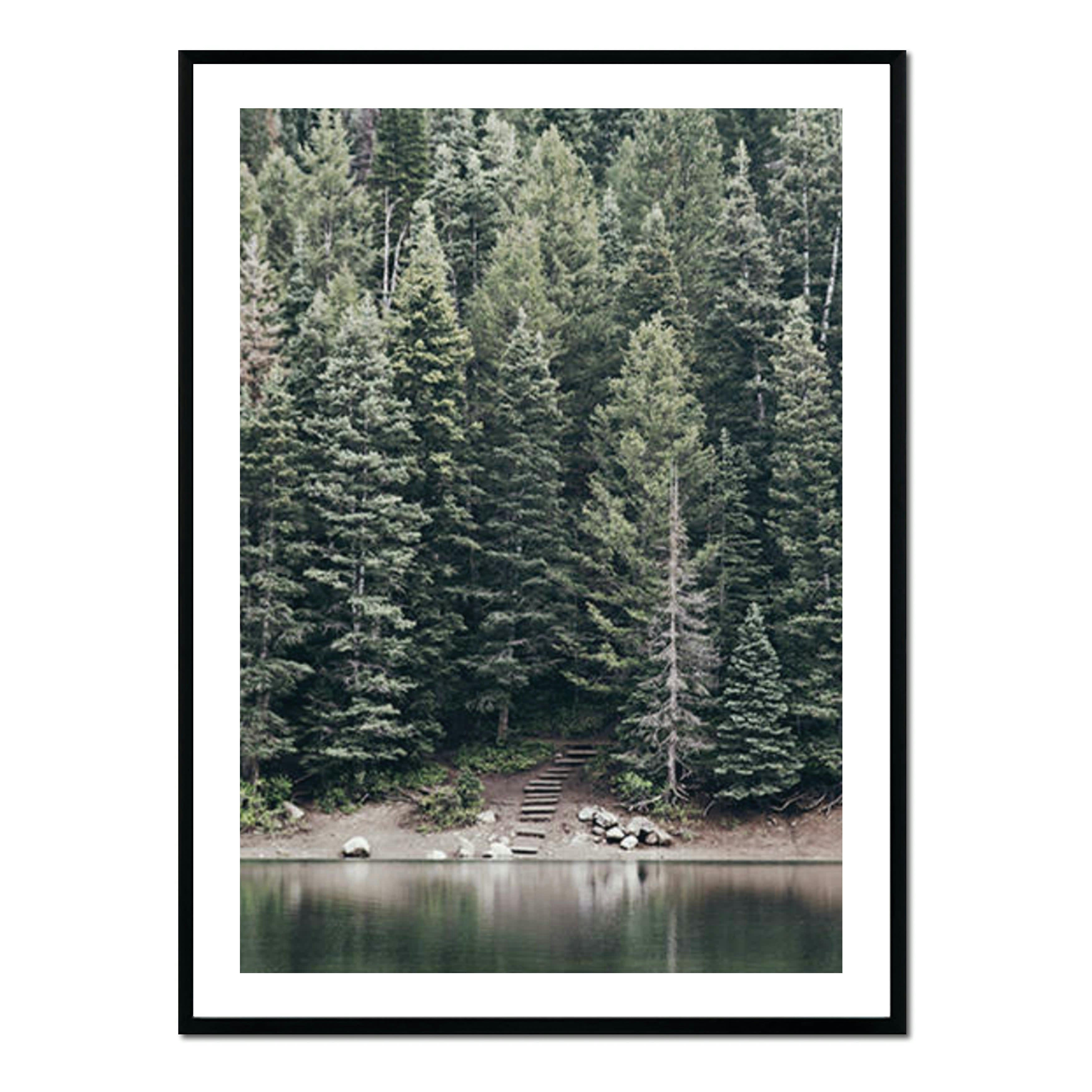 BOSQUE - Affiche avec cadre noir - Arbres et lac - 30x40
