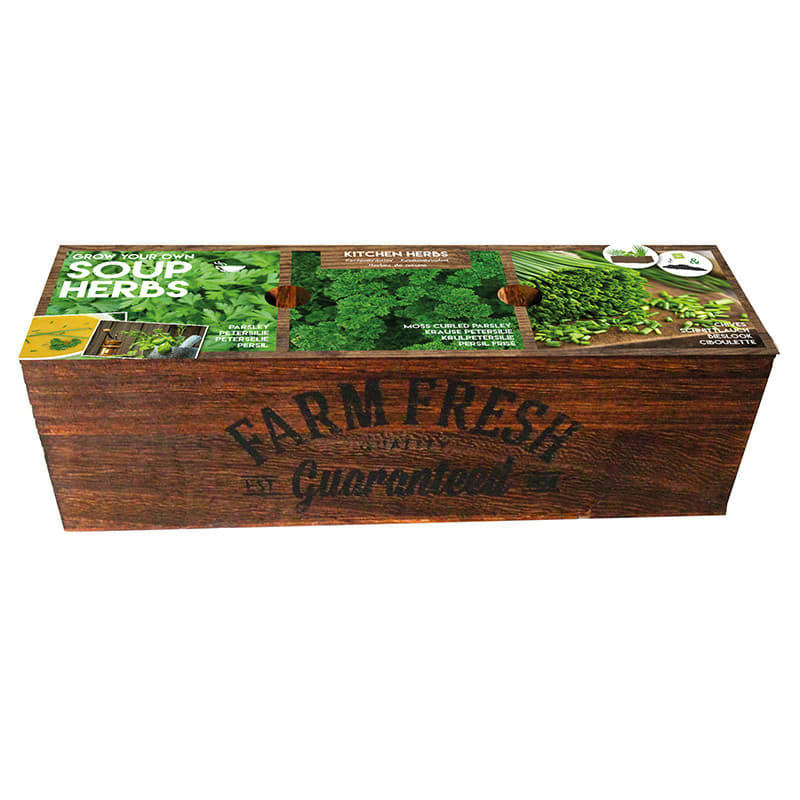 - Kit prêt à pousser - Herbes à soupes