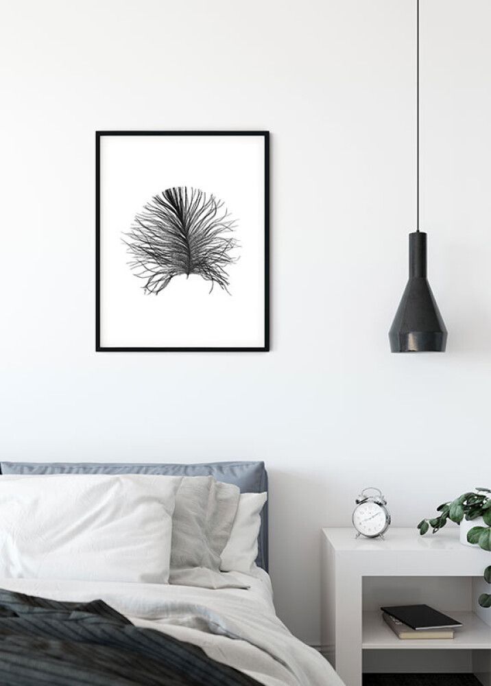 POSTER KOMAR FEATHER WHITE 40 X 50 CM