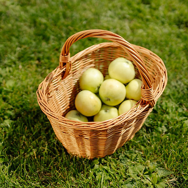 Creative Home Panier en Osier avec Poignées 32 x 24 x 29 cm - Tissé à la Main - Panier Cadeau, Fruits et Pique-Nique Naturel