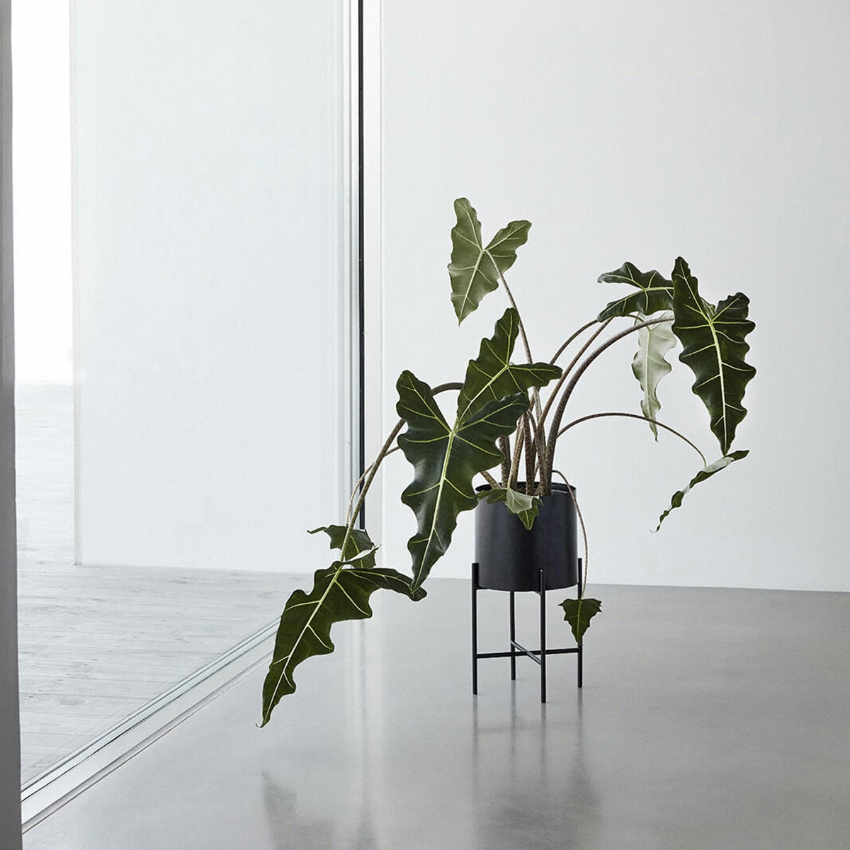 AIRY - Pot avec pied en métal noir (x2)