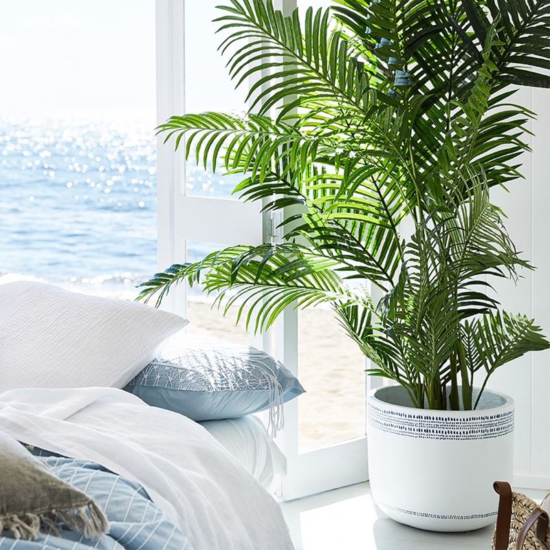 Areca Palm Potted Plant 190cm