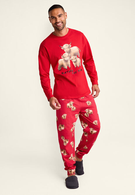 Unisex Adults Red Highland Cow Christmas Family Pyjama Set