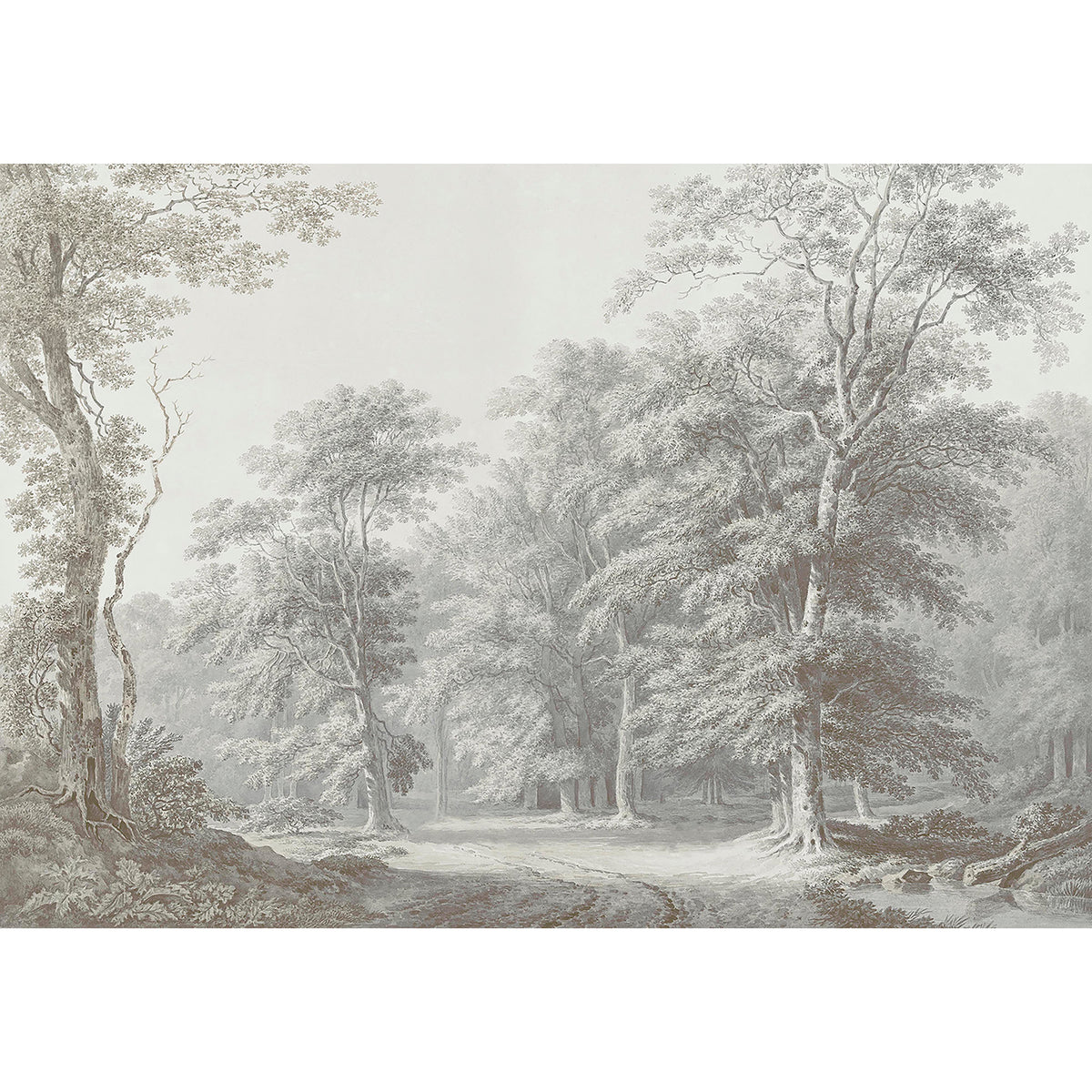 Superfresco Easy Fotobehang - Stately Woodland - 400x280