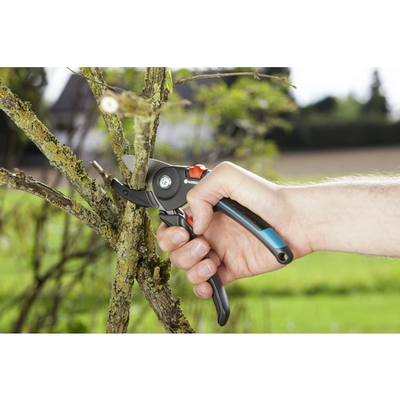 Gartenschere, türkis