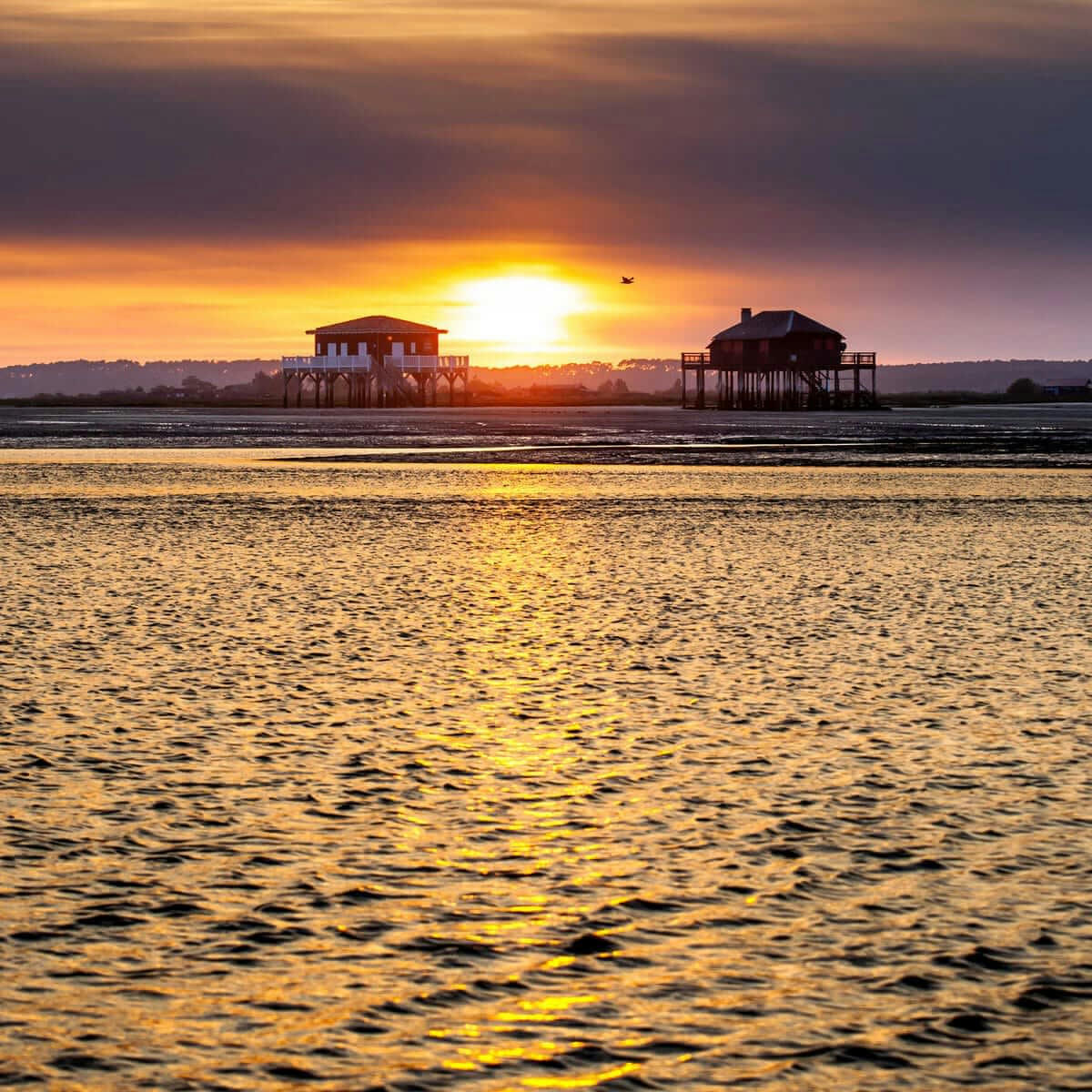 MER - Tableau sur toile vue couché de soleil 90x90 cm
