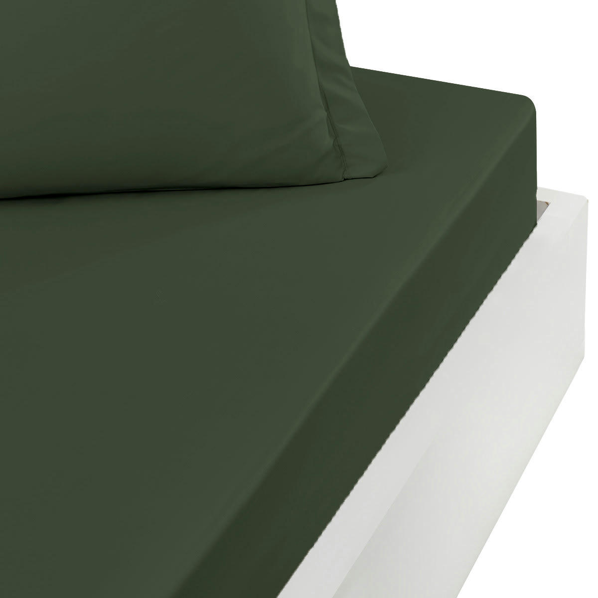 SOFT PERCALE - Drap housse en percale bonnet 40cm Eucalyptus 160x200 cm