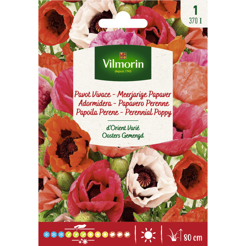 Semences de pavot Vivace d'Orient varié VILMORIN
