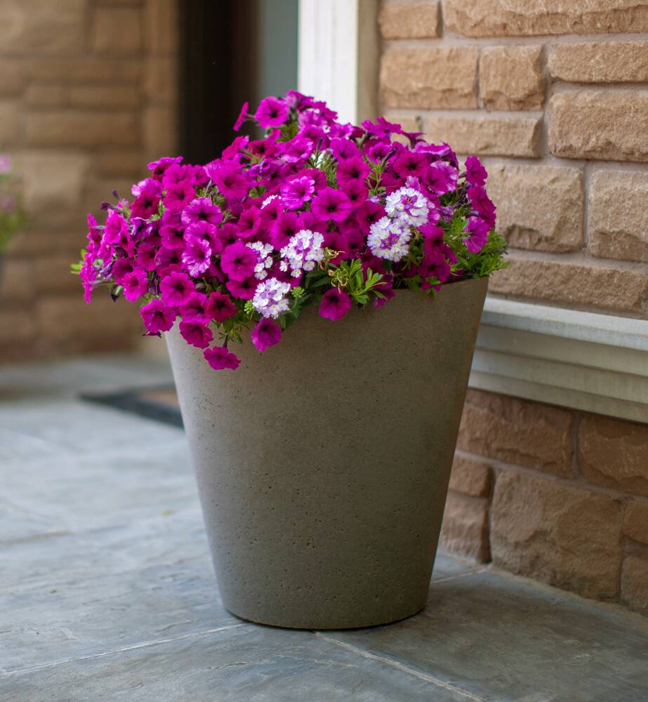 Algreen Products Self Watering Crete Round Planter, Assorted Sizes, Grey