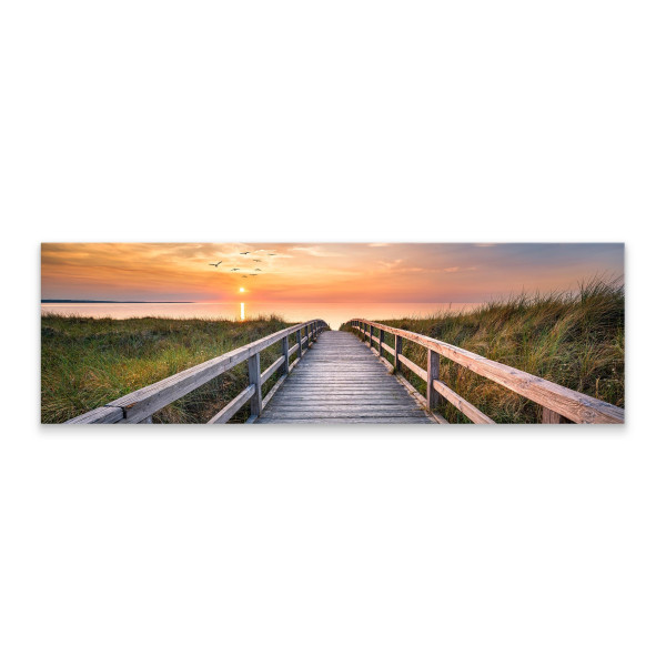 Obraz Panoramiczny Wydmy Wzdłuż Morza Północnego 145x45cm