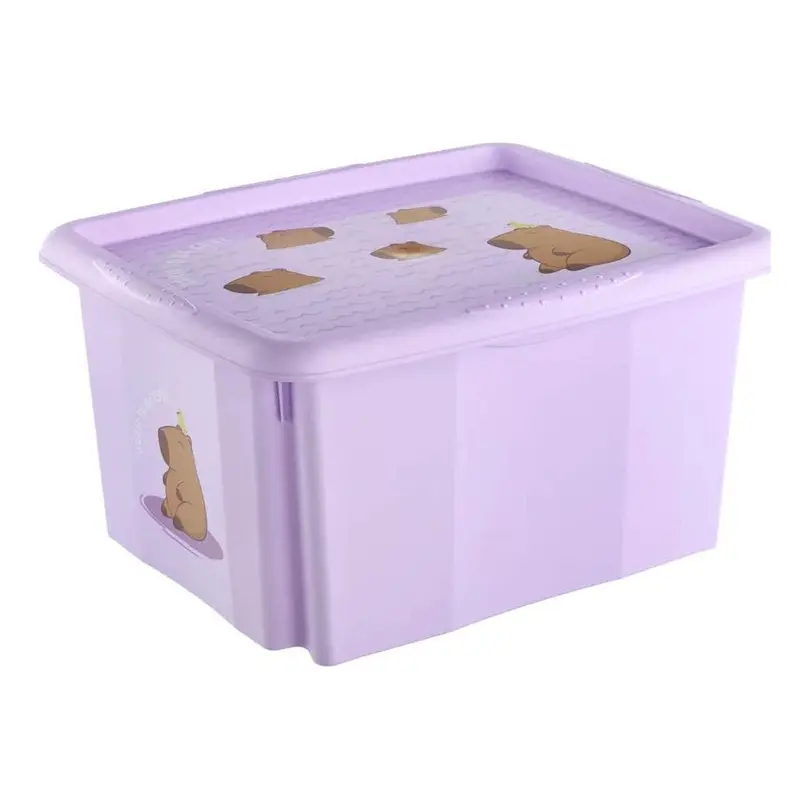 Aufbewahrungsbox Karolina